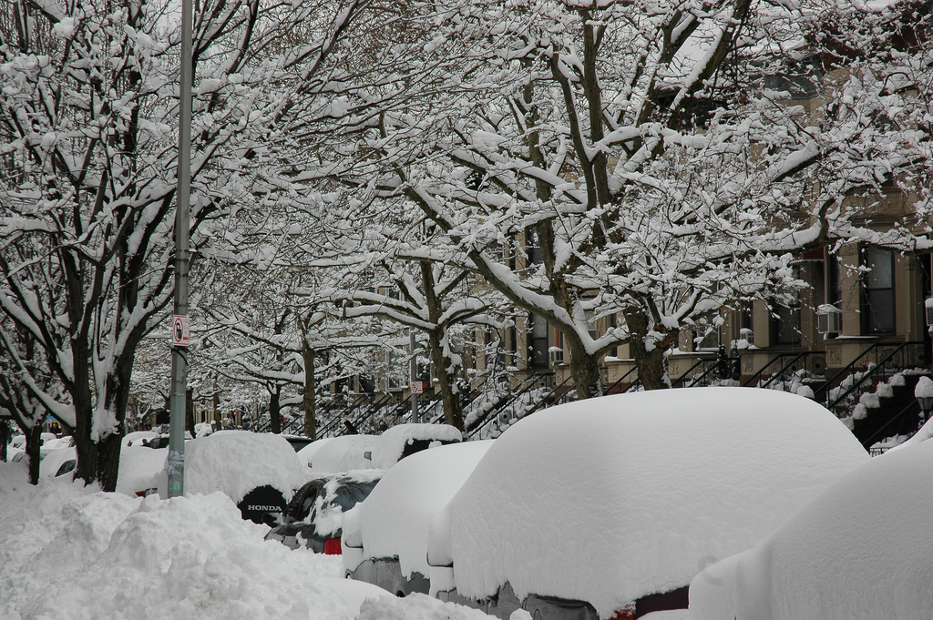 &quot;Snow Covered Cars, Bay Ridge, Brooklyn&quot; by Michael Dolan on Flickr