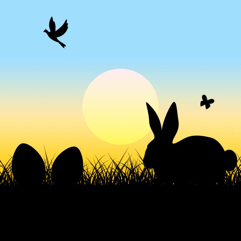 Seek Safely Easter Freedom