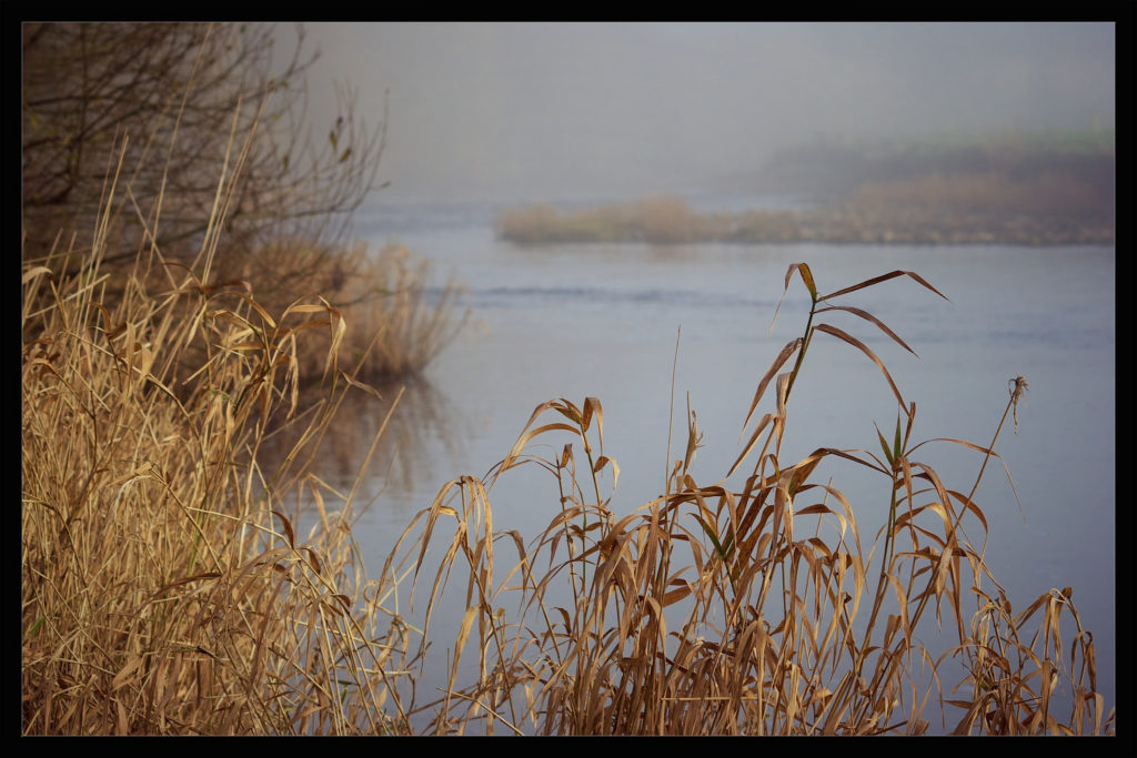 November... Bleak, yet Beautiful SEEK Safely