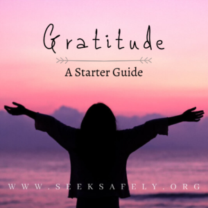 "Gratitude: A Starter Guide" on SEEK Safely