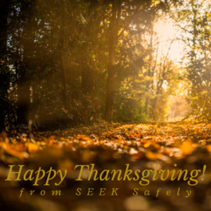 Thanksgiving 2020 SEEK Safely